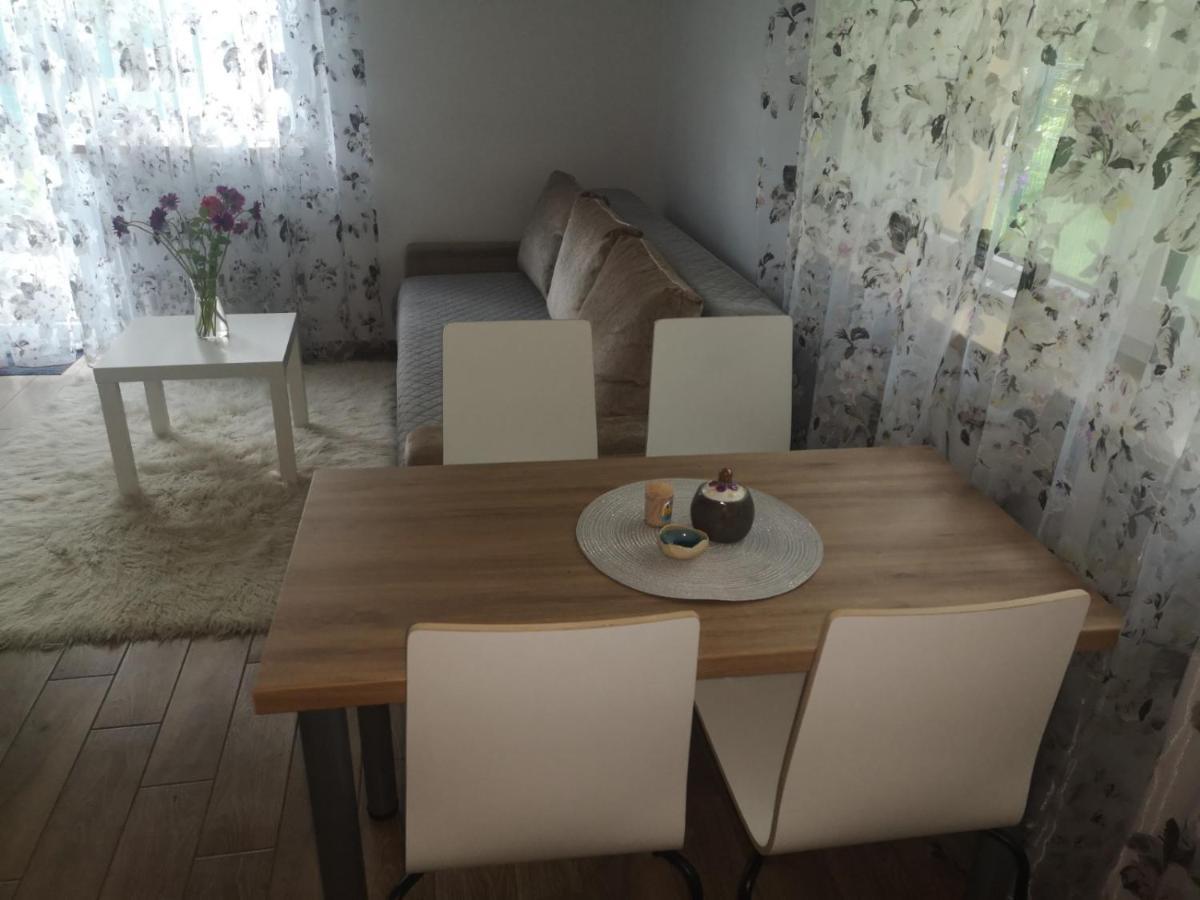 Kristinos Apartment Druskininkai Dış mekan fotoğraf