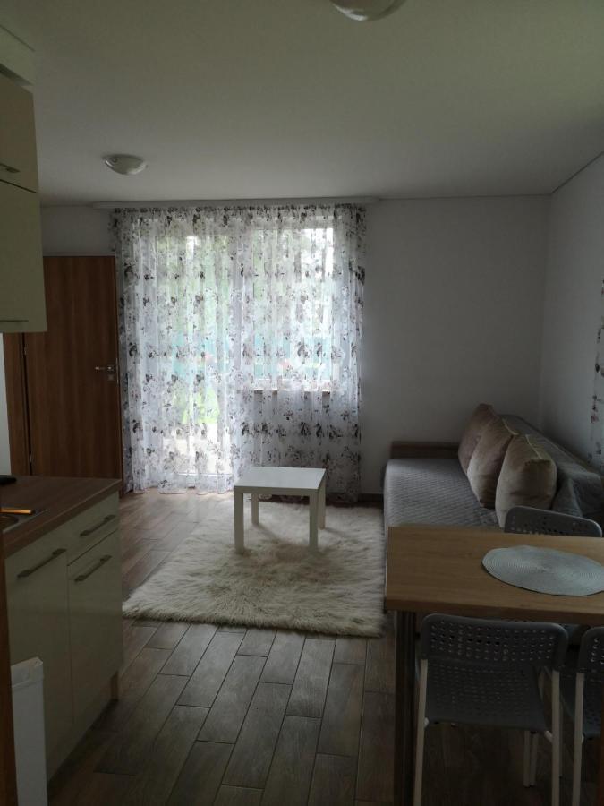 Kristinos Apartment Druskininkai Dış mekan fotoğraf