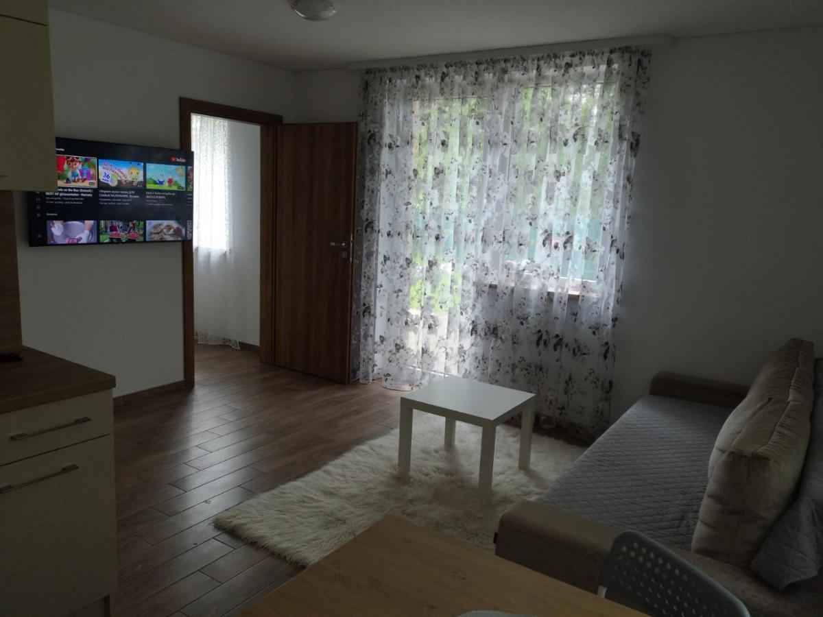 Kristinos Apartment Druskininkai Dış mekan fotoğraf