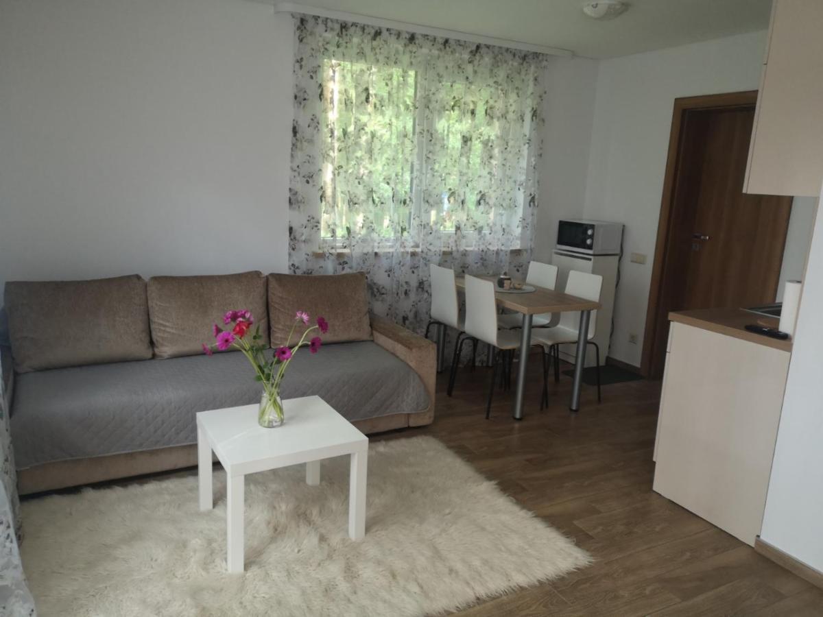 Kristinos Apartment Druskininkai Dış mekan fotoğraf