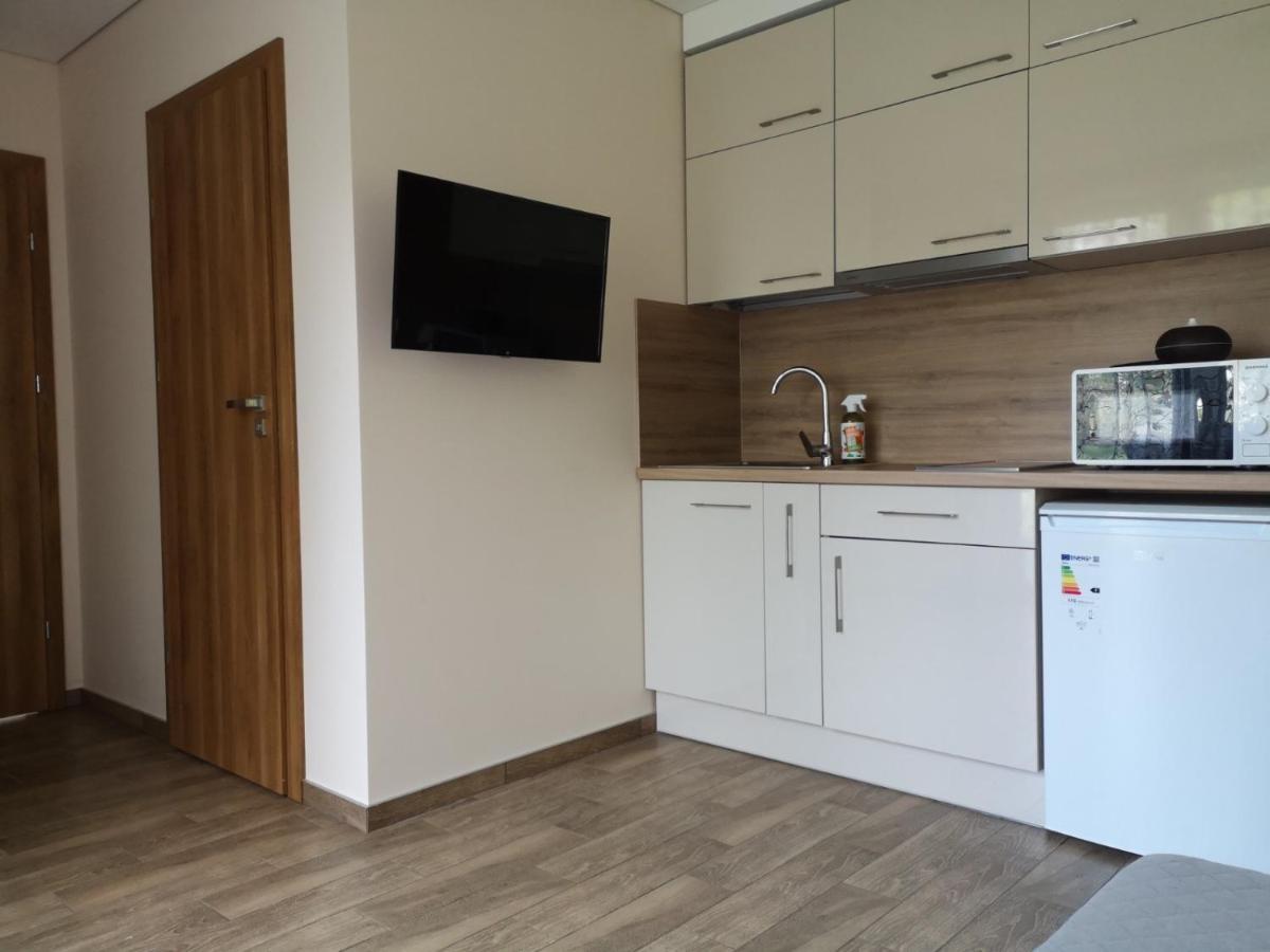 Kristinos Apartment Druskininkai Dış mekan fotoğraf