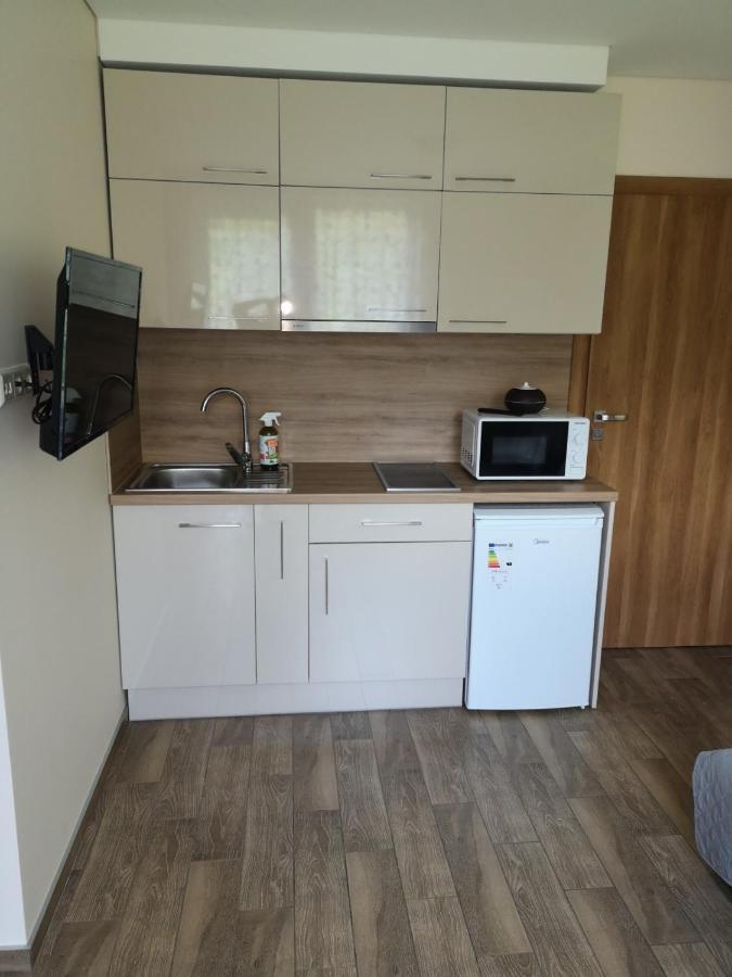 Kristinos Apartment Druskininkai Dış mekan fotoğraf
