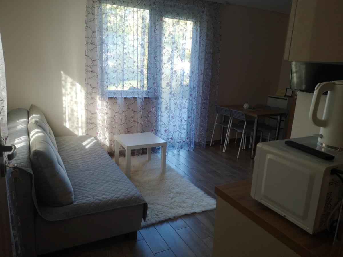 Kristinos Apartment Druskininkai Dış mekan fotoğraf