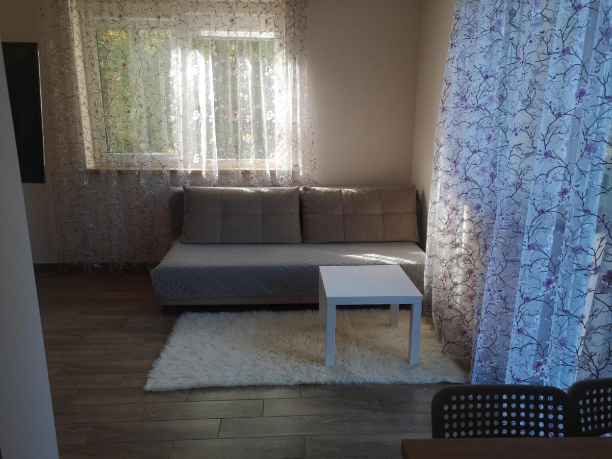 Kristinos Apartment Druskininkai Dış mekan fotoğraf