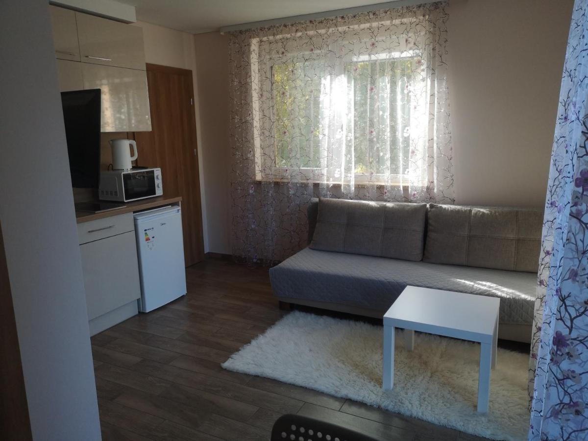 Kristinos Apartment Druskininkai Dış mekan fotoğraf